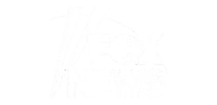 Fox News channel logo
